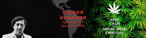 хмурый Белокуриха