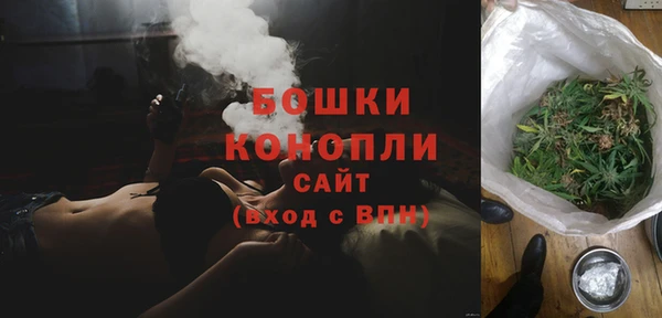хмурый Белокуриха