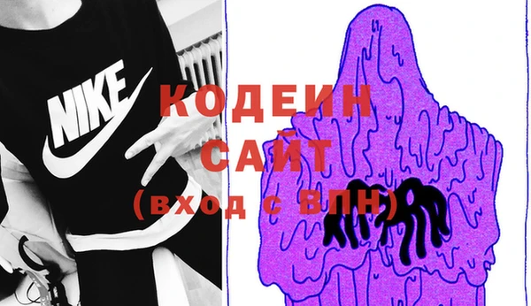 хмурый Белокуриха
