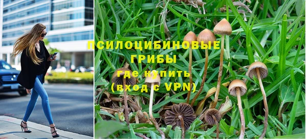 спайс Беломорск